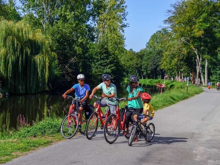 Family shop cycling trips